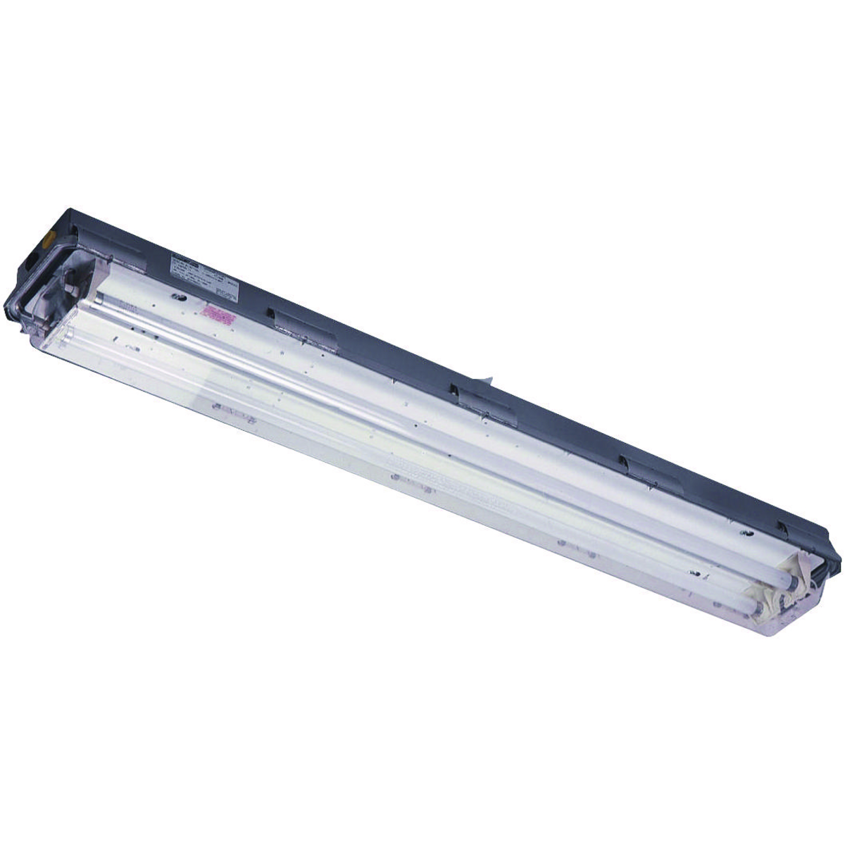 LZ2S SERIES - STAINLESS STEEL 32 WATT FLUORESCENT LIGHT FIXTURE (TWO4-FOOT LAMPS NOT INCLUDED) - DOUBLE-ENDED LAMP TYPE - 120-277V AT50/60HZ -HUB SIZE 3/4 INCH NPT