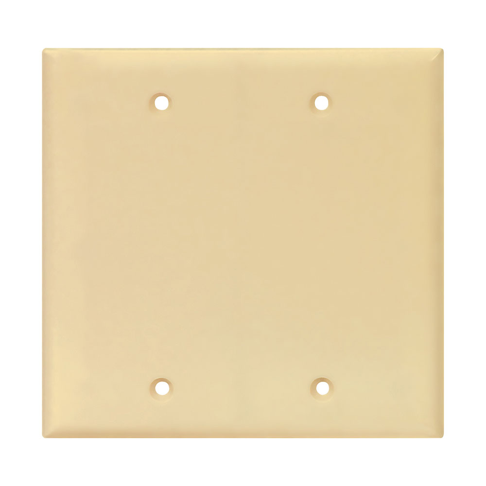 Eaton blank wallplate, Wallplate 2G Blank Box Mount Poly Mid IV, Retail box