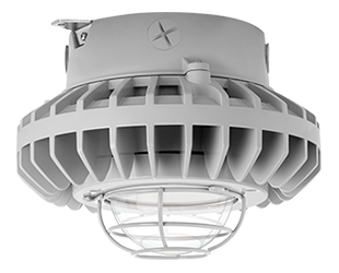 Hazardous, . LED 80W, 5000k, LED Ceiling with, Clear Globe Wire Guard Gray