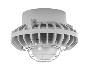 Hazardous, . LED 80W, 5000k, LED Pendant with, Frosted Globe Wire Gd Gray