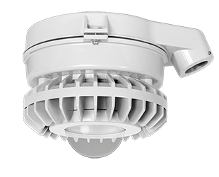 Hazardous, . LED 26W, 5000k, LED Stanchion with, Clear Globe Gray