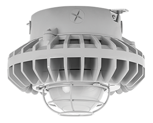 Hazardous, . LED 80W, 5000k, 480V Ceiling LED with, Frosted Globe Wire Gd