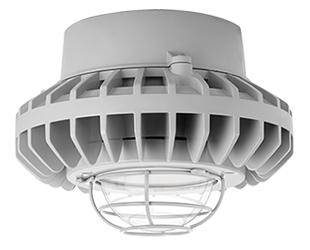 Hazardous, . LED 80W, 5000k, 480V Pendant LED with, Clear Globe Wire Gd