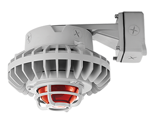 Hazardous, . LED 80W, 5000k, LED Wall bracket Reb, Frosted Globe Die Cast Gd