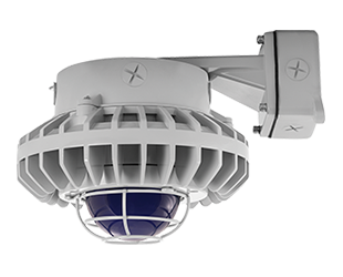 Hazardous, . LED 80W, 5000k, LED Wall bracket, Blue, Frosted Globe Wire Gd Gray