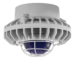 Hazardous, . LED 80W, 5000k, LED Pendant, Blue, Frosted Globe Wire Gd Gray