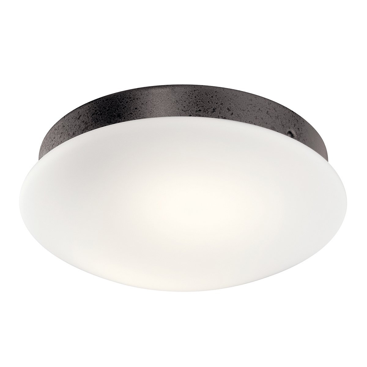 Ried LED light kit in an Anvil Iron finish with Etched Cased Opal glass.