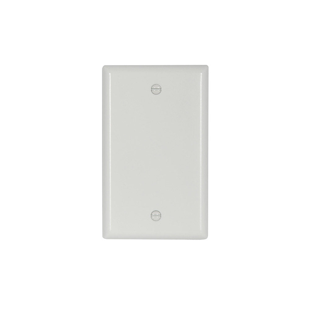 Wallplate 1G Blank Thrmst Box Mt Std WH 4154904