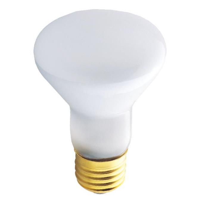 30W R20 Incandescent Reflector Flood E26 (Medium) Base, 120 Volt, Box