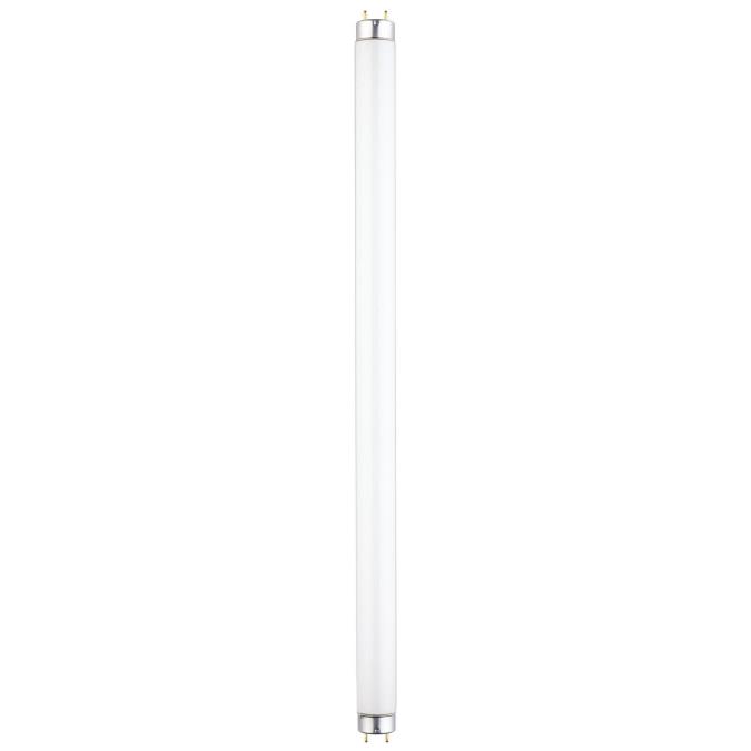 15W T8 Linear Fluorescent Daylight Medium BiPin Base, Sleeve