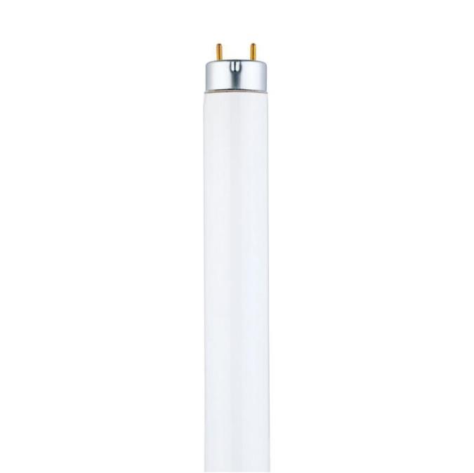 Product image for WEST 3741100 32 Watt T8 Linear Fluo