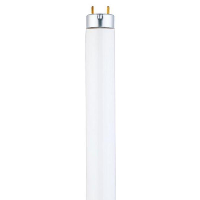 32W T8 Linear Fluorescent Cool White Medium BiPin Base, Sleeve 07028