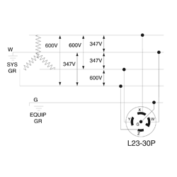 LEVITON 2831 : LOCKING PLUG L23-30P | Gordon Electric Supply, Inc.