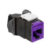 Atlas-X1 Cat 6 UTP QuickPort Connector, Purple