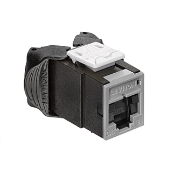Atlas-X1 Cat 6 UTP QuickPort Connector with Shutters, Grey