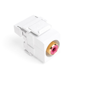 QuickPort RCA 110-Type, Red Barrel, White