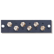 F-Connector Mounting Plate, Includes 6 F-Connectors, Loaded