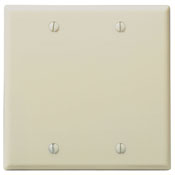 2-Gang No Device Blank Wallplate, Standard Size, Thermoset, Box Mount, Ivory