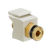 QuickPort Binding Post Adapter with Black Stripe, Ivory