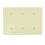 3-Gang No Device Blank Wallplate, Thermoset, Strap Mount, Ivory
