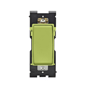 Renu Switch for 3-Way Applications 15A-120/277VAC in Granny Smith Apple