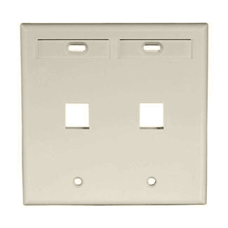 QuickPort Wallplate with ID window, dual gang, 2-port, ivory