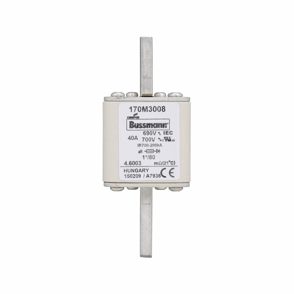Product image for BUSS 170M3008 FUSE 40A 690V 1*/80 A