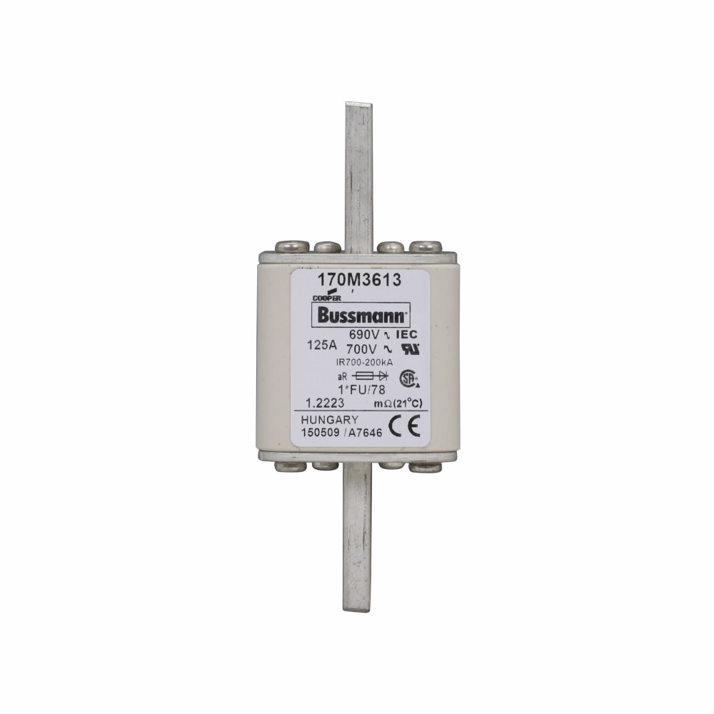 Product image for BUSS 170M3613 FUSE 125A 690V 1 FU 7