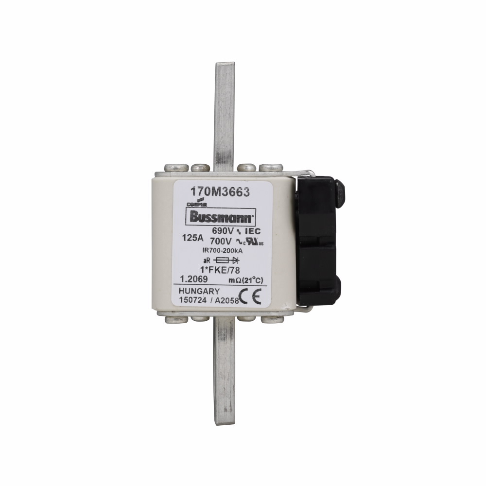 Product image for Eaton Bussmann 170M3663 125 Amp Fuse
