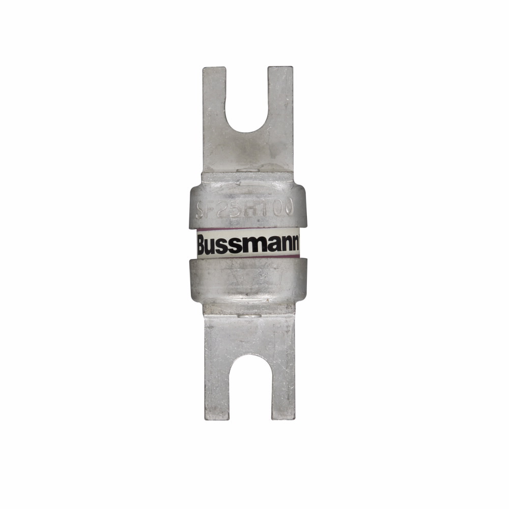 Product image for BUSS SF25H100 100Amp 250Vac SEMI-CO