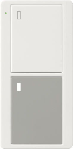 Pico Wireless Control, 2-button, power icons in white/gray