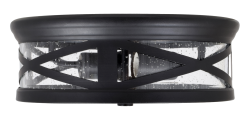 Metal flush mount indoor ceiling light, 2 LED A19 800lm filament lamps included