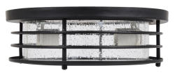 Metal flush mount indoor ceiling light, 2 LED A19 800lm filament lamps included