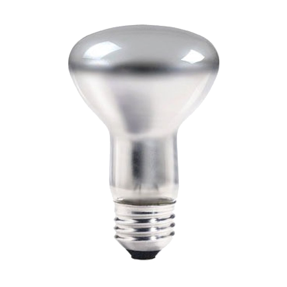 Lamp, Shape: G16 1/2, Base: E26, FinishClear