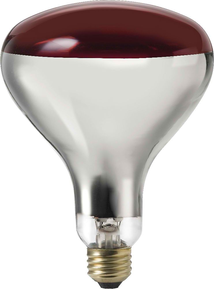 Lamp, Shape: A21, Base: E26, FinishClear