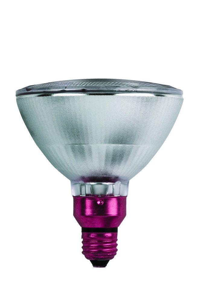 Philips Lighting 428854