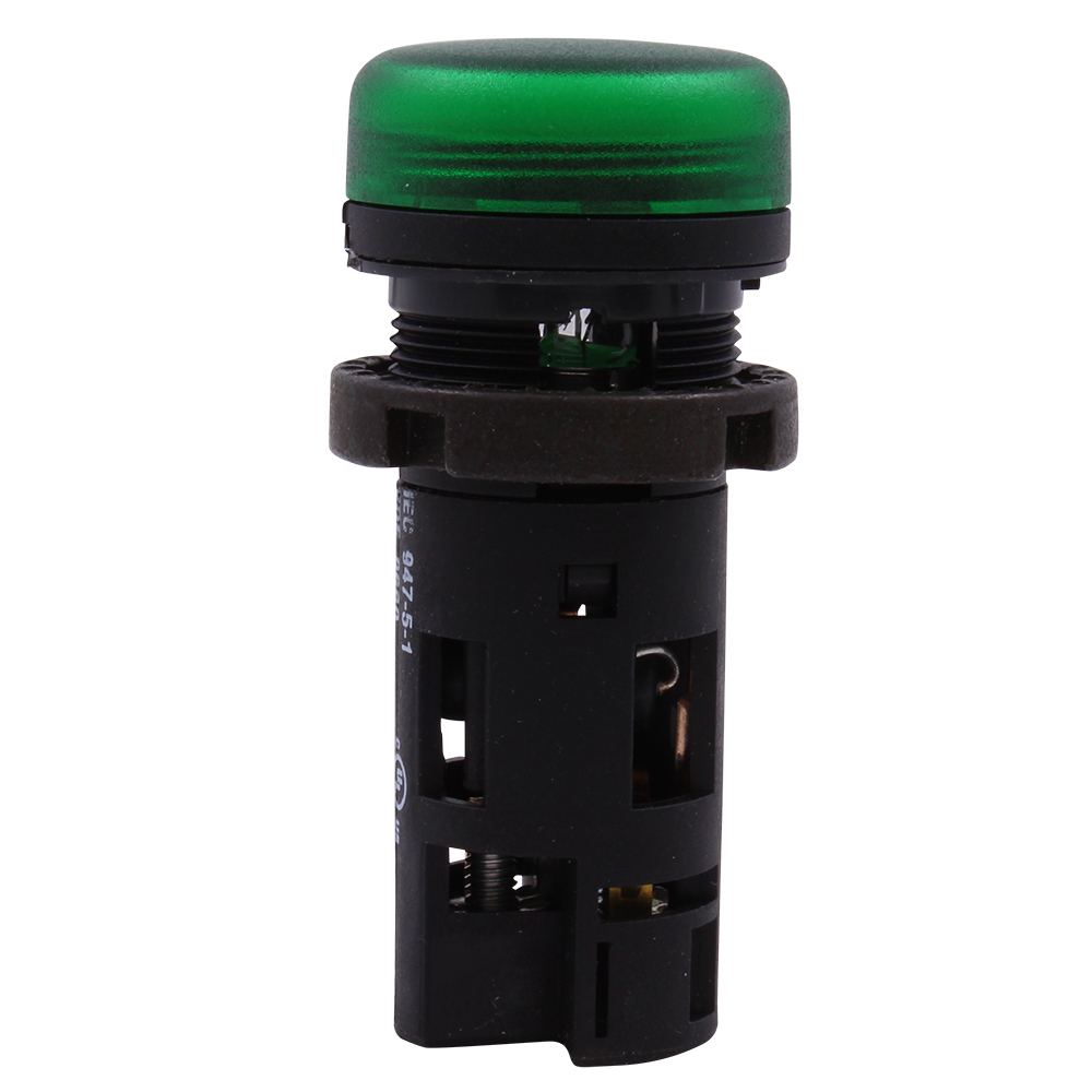 Product image for GE P9XPNVG P/BUTT FLUSH GREEN