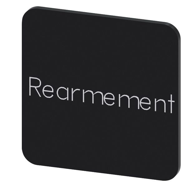 LABELING PLATE SELF-ADHESIVE FOR ENCLOSURE, LABEL SIZE 22 X 22MM, LABEL BLACK, LETTERING WHITE, WITH INSCRIPTION REARMEMENT