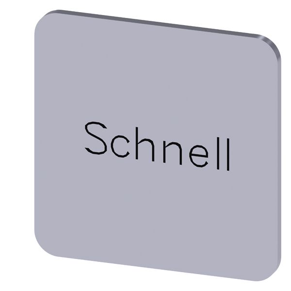 3SU19000AF810AM0 804766078842 LABELING PLATE SELF-ADHESIVE FOR ENCLOSURE, LABEL SIZE 22 X 22MM, LABEL SILVER,LETTERING BLACK, WITH INSCRIPTION SCHNELL