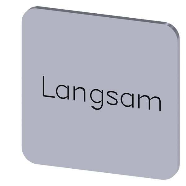 LABELING PLATE SELF-ADHESIVE FOR ENCLOSURE, LABEL SIZE 22 X 22MM, LABEL SILVER,LETTERING BLACK, WITH INSCRIPTION LANGSAM