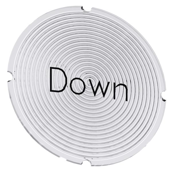 Insert label for illuminated pushbutton, round, milky with black lettering, with inscription down