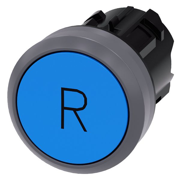 Pushbutton, 22mm, round, plastic with metal front ring, blue, inscription r, flat button momentary contact type