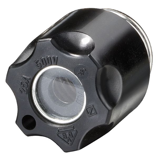 SCREW CAP FOR DIAZED FUSE,25A,AC/DC,500V WITH TEXT HOLE AC DC 500V MOULDED PLASTIC DIAZED-SCREW CAP DII 25A