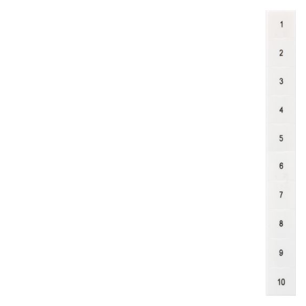 LABEL,VERT PRINT 11- 20,FRNT,10MM,STRIP