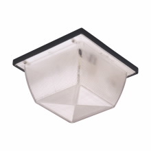 Product image for CRSH 1137A 1-60W DEEP TYPE W/POLY L