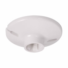 Product image for THEP TP16099 LAMPHOLDER KEYLESS FEE