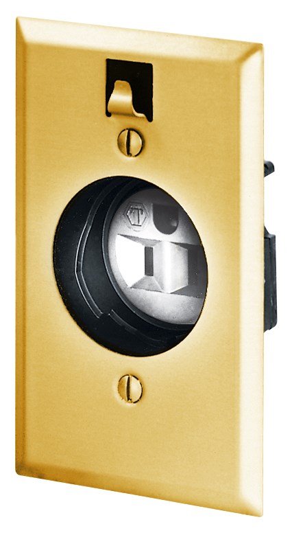 Straight Blade Devices, Specialty Receptacles, Clock Hanger, Receptacle and Plate, 15A 125V, 2-Pole 3-Wire Grounding, 5-15R, Smooth Brushed Brass Plate, Single Pack