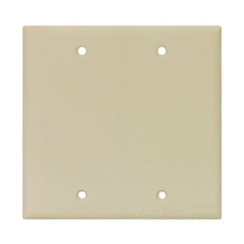 Eaton Blank wallplate, Ivory, Blank Cutout, Thermoset, Two- gang, Standard, ED Box
