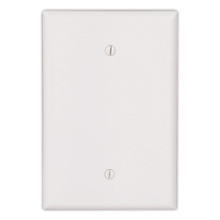 Eaton Blank wallplate, White, Blank Cutout, Thermoset, Single- gang, Oversize, ED Box