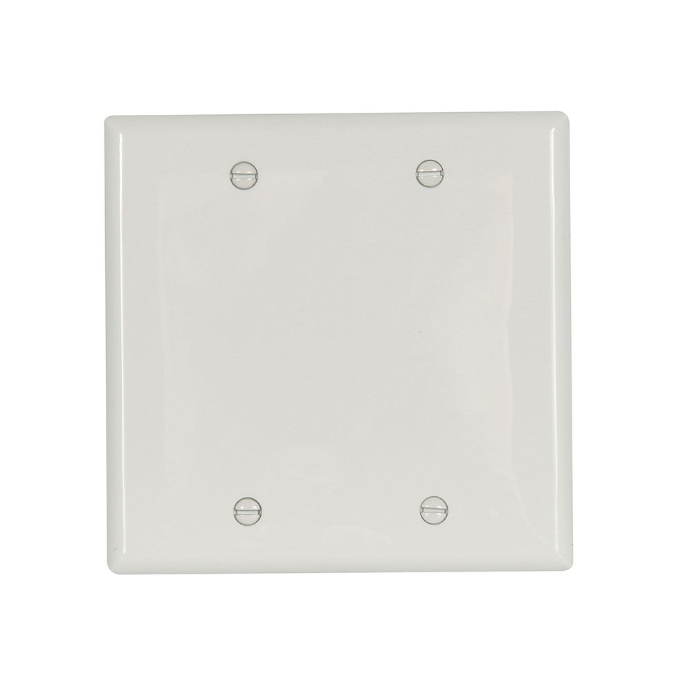 Eaton Blank wallplate, White, Blank Cutout, Nylon, Two- gang, Standard, ED Box